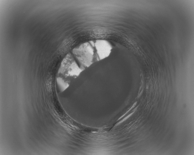 X0000060790647200512011707