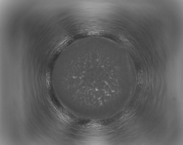 X0000060790648200512011707