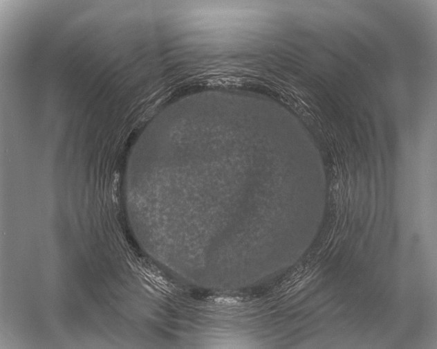 X0000060790649200512011707