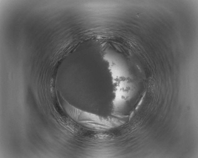 X0000060790650200512011707