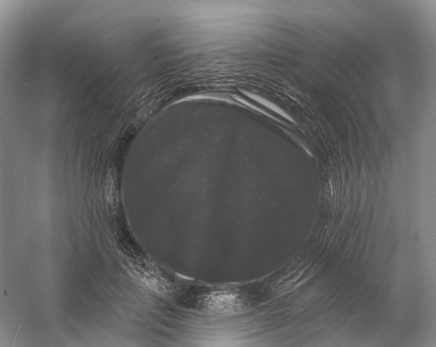 X0000060790651200512011707