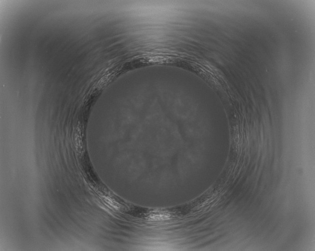 X0000060790653200512011707