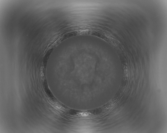 X0000060790654200512011707