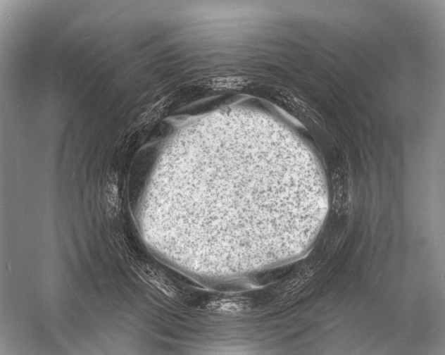 X0000060790655200512011707