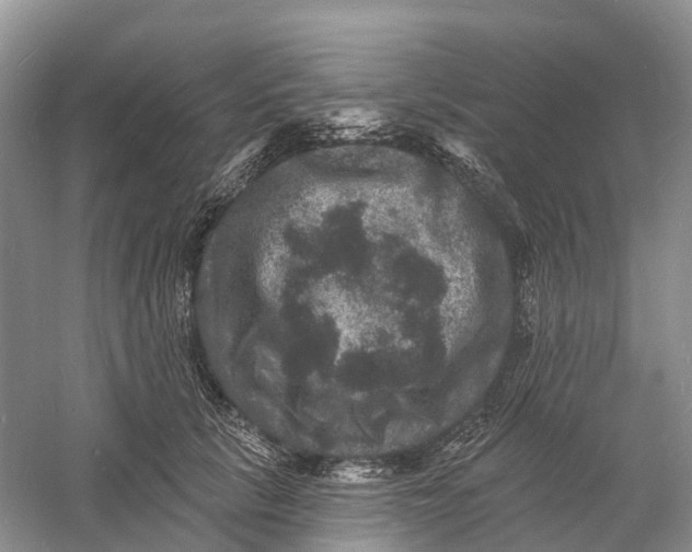 X0000060790657200512011707