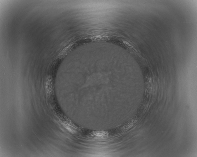 X0000060790659200512011707