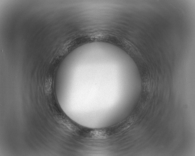 X0000060790660200512011707