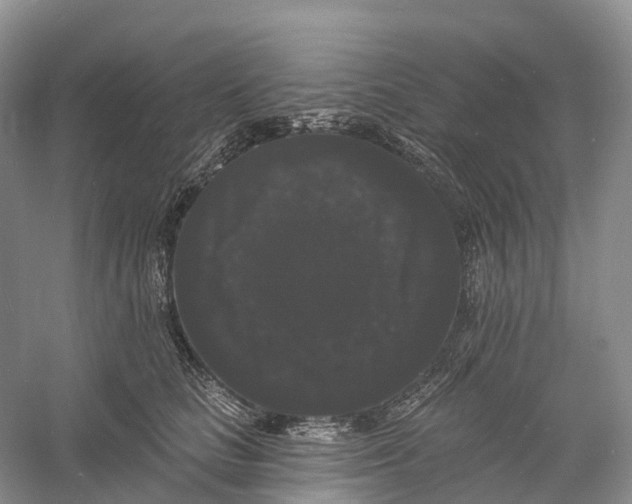 X0000060790661200512011707