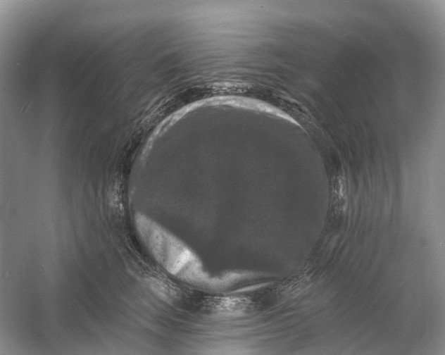 X0000060790663200512011707