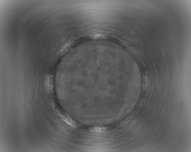 X0000060790664200512011707