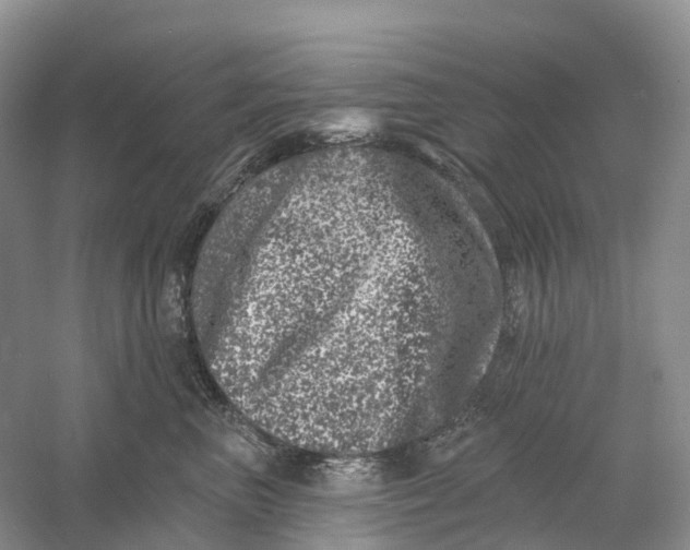 X0000060790667200512011707