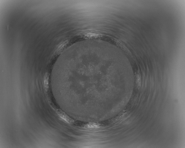 X0000060790668200512011707