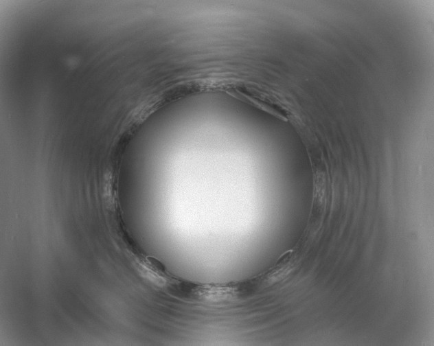 X0000060790670200512011707