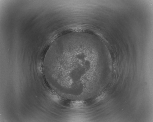 X0000060790671200512011707