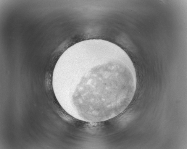 X0000060790672200512011707