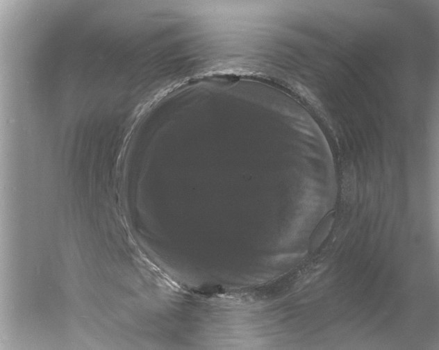 X0000060790673200512011706