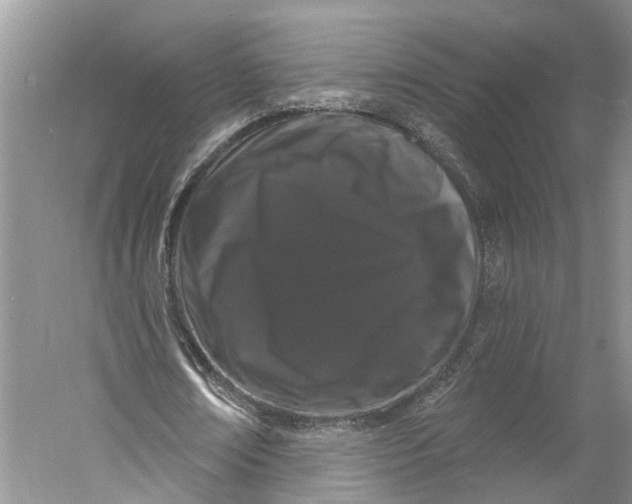 X0000060790674200512011706