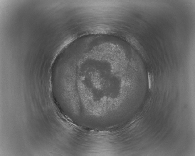 X0000060790675200512011706