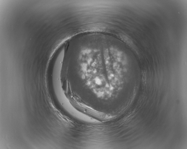 X0000060790676200512011706