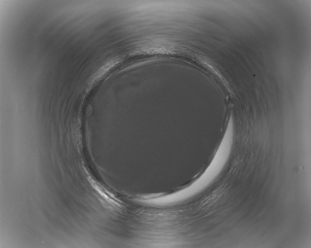 X0000060790677200512011706