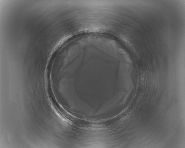 X0000060790678200512011706