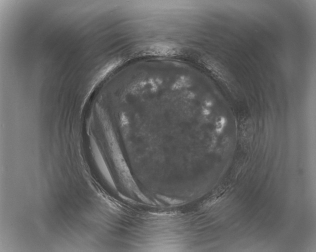 X0000060790679200512011706