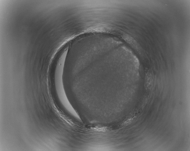 X0000060790680200512011706