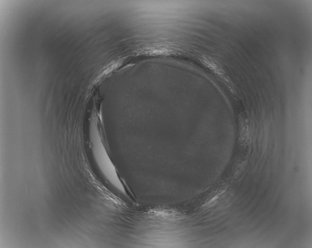 X0000060790681200512011706