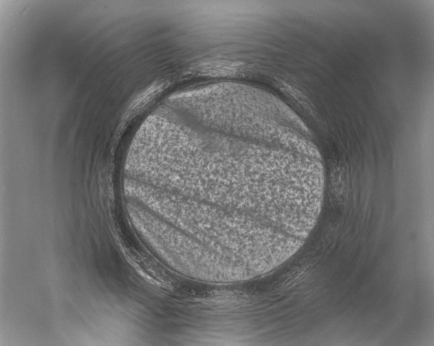 X0000060790682200512011706