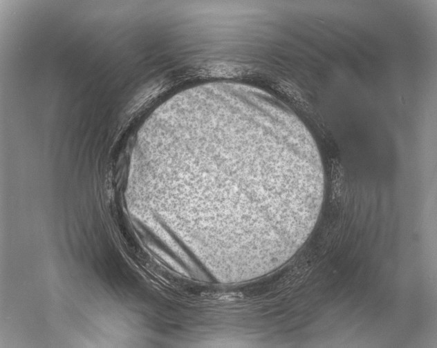 X0000060790683200512011706