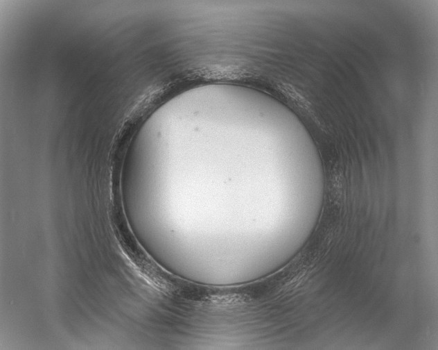 X0000060790686200512011706