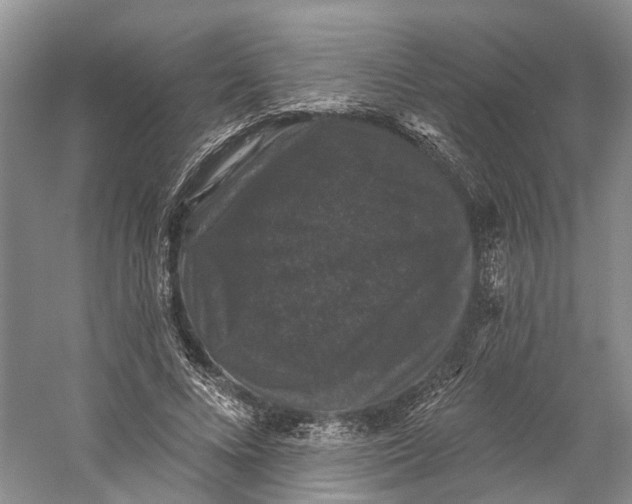 X0000060790688200512011706