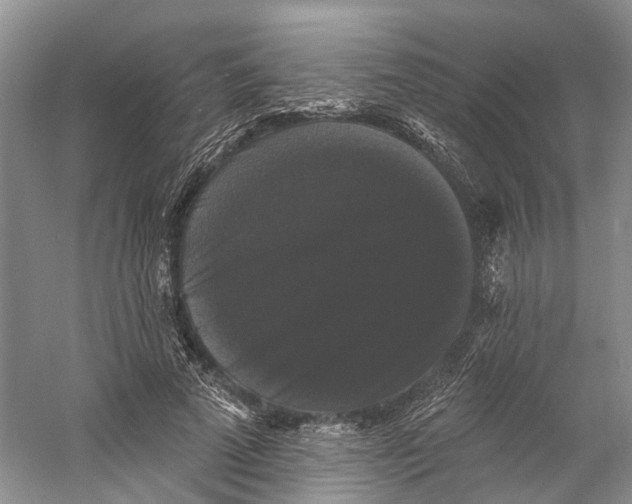 X0000060790689200512011706