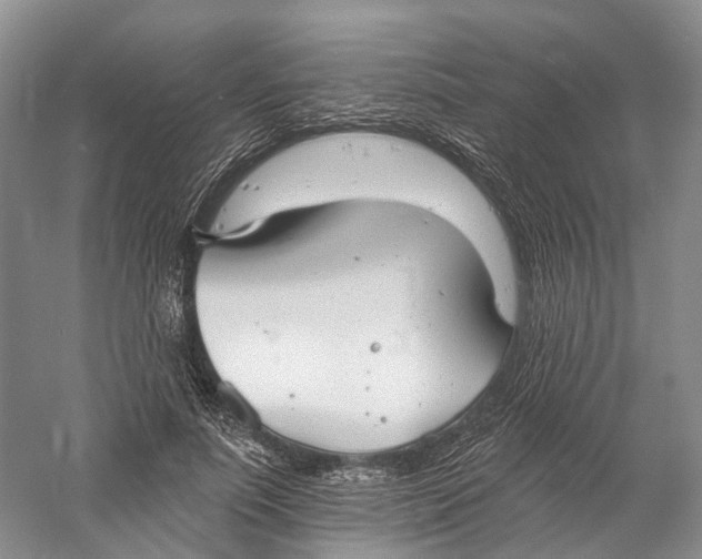 X0000060790691200512011706