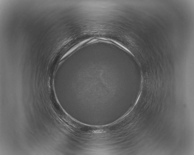 X0000060790692200512011706