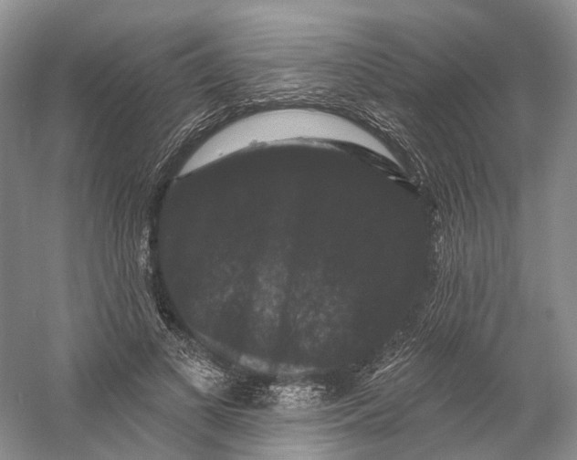 X0000060790693200512011706