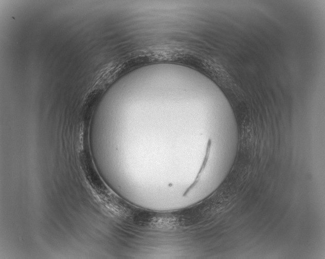 X0000060790694200512011706