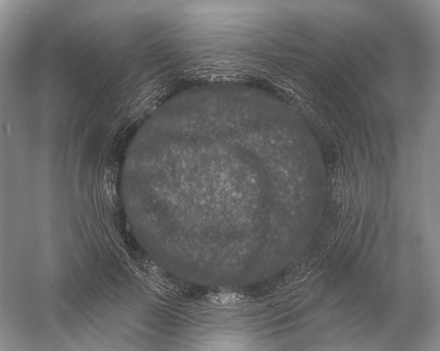 X0000060790695200512011706