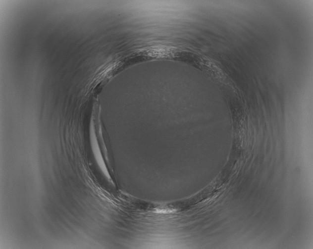 X0000060790696200512011706