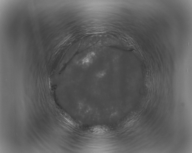 X0000060790697200512011706