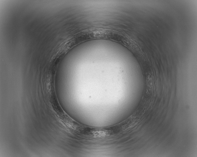 X0000060790698200512011706