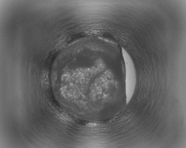 X0000060790699200512011706