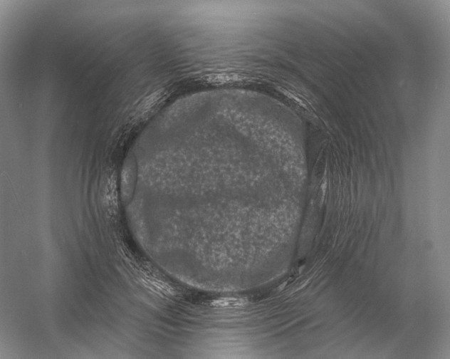 X0000060790700200512011706