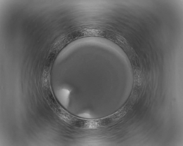 X0000060790701200512011706