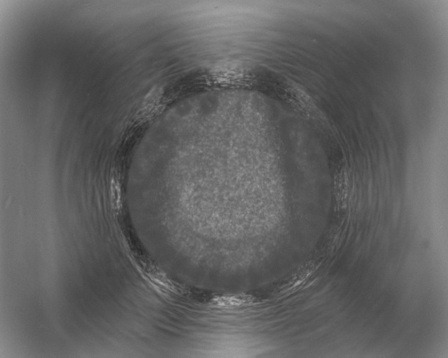 X0000060790703200512011706