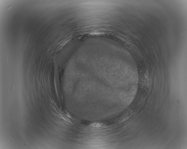 X0000060790704200512011706