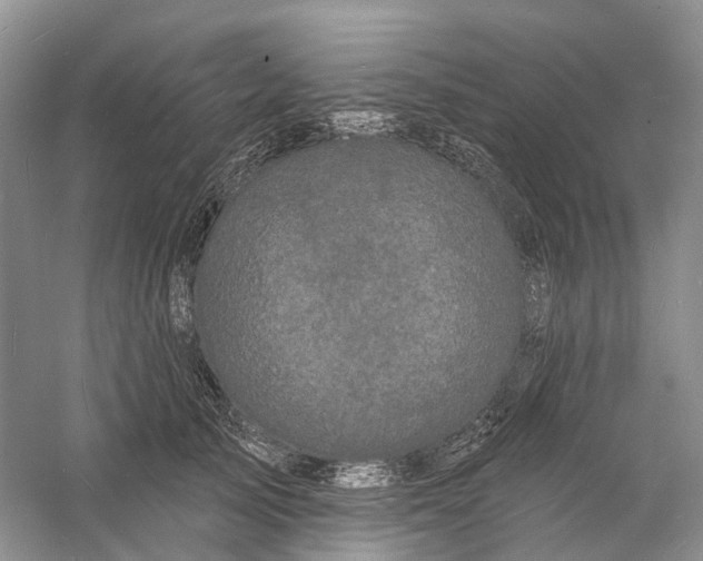 X0000060790705200512011706