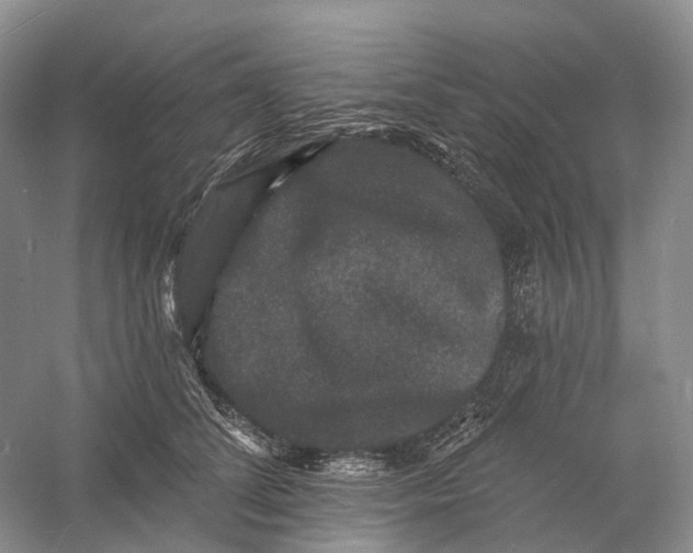 X0000060790708200512011706