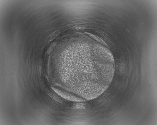 X0000060790710200512011706