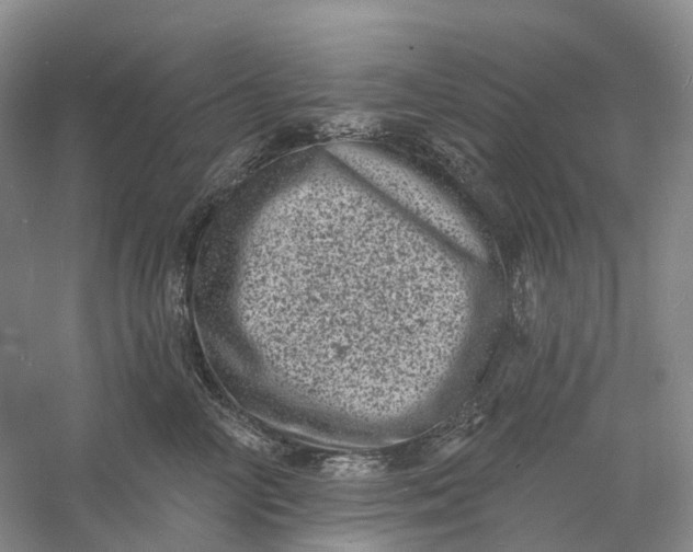 X0000060790714200512011706